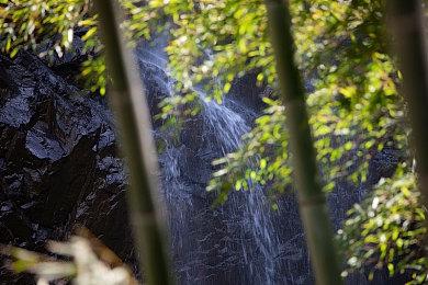 《Wanted: Dead》现已开启预购 收藏版内容细节曝光